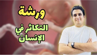 ورشة التكاثر في الانسان